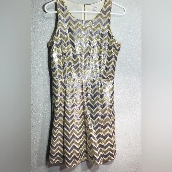 Charming Charlie Size Small Sort Party Dress.Covered in Gold and Silver Sequins - Picture 1 of 9